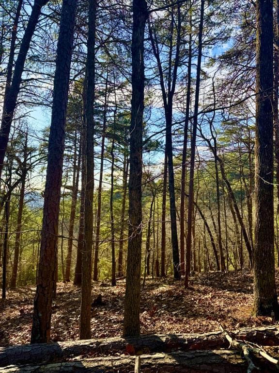 other for sale at 335 Packet Court, Ranger, GA 30734 — photo 10