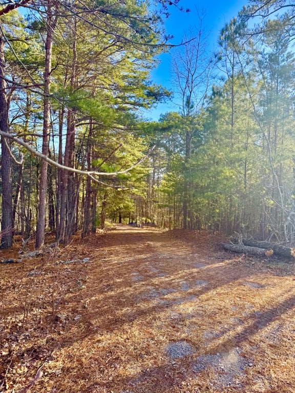 other for sale at 335 Packet Court, Ranger, GA 30734