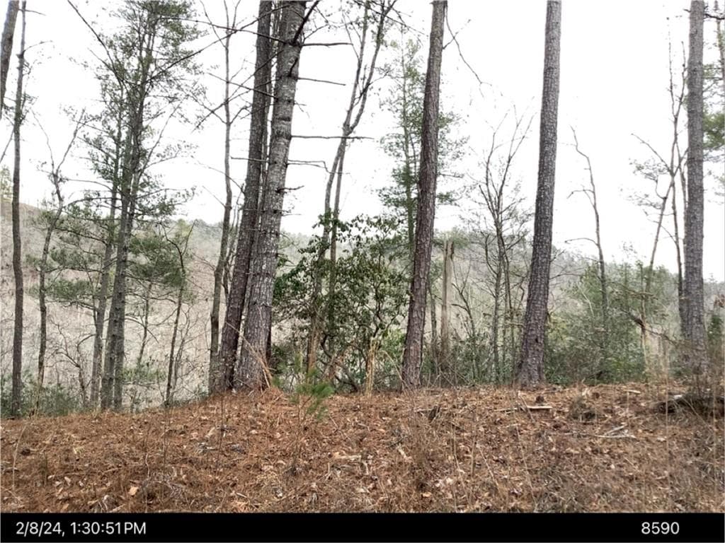 other for sale at 436 Meadow Lane, Talking Rock, GA 30175 — photo 2
