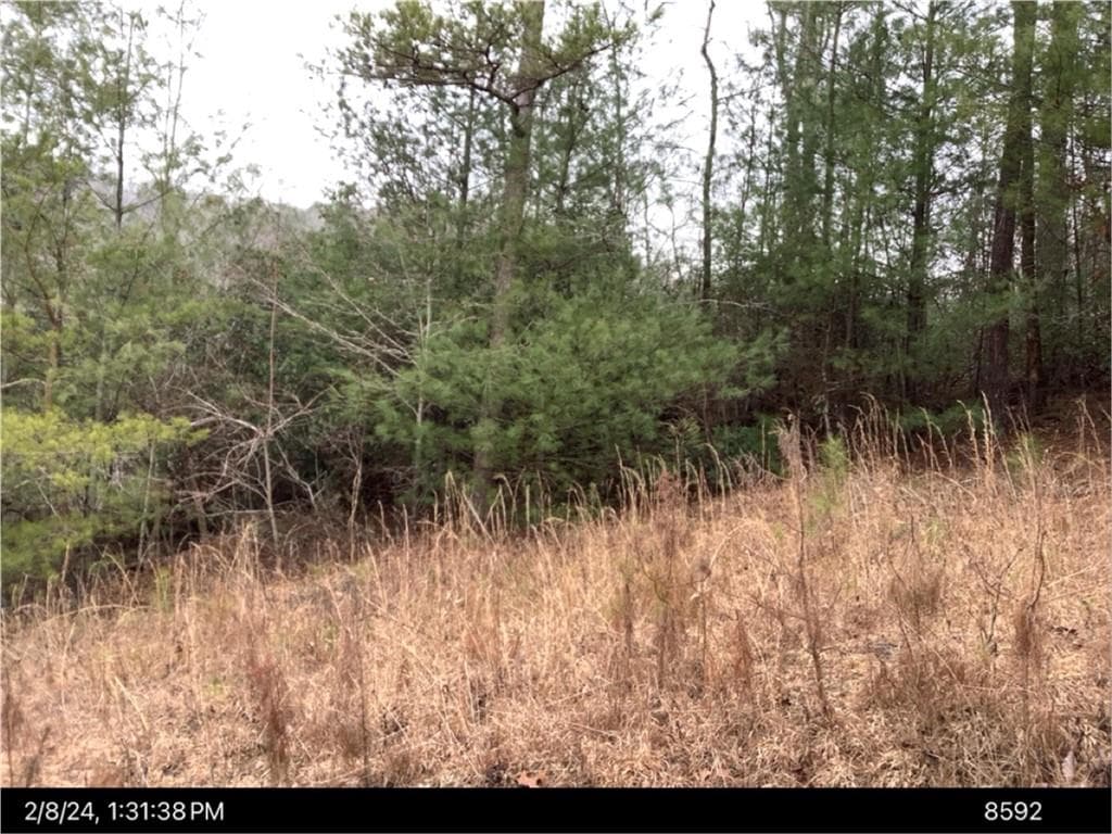 other for sale at 436 Meadow Lane, Talking Rock, GA 30175 — photo 3