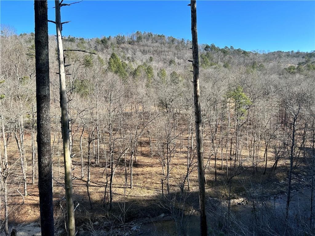 other for sale at 436 Meadow Lane, Talking Rock, GA 30175 — photo 4