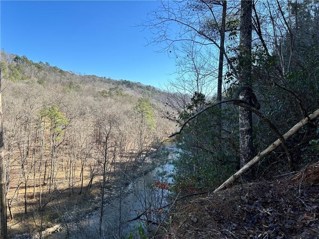 other for sale at 436 Meadow Lane, Talking Rock, GA 30175