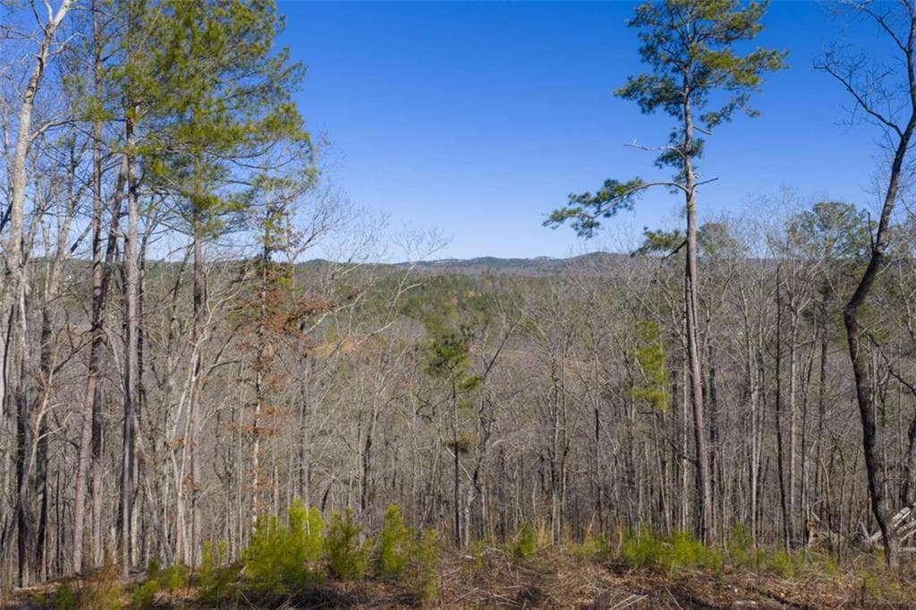 single family residence for sale at LT 285 Anglers Ridge Road, Talking Rock, GA 30175 — photo 2