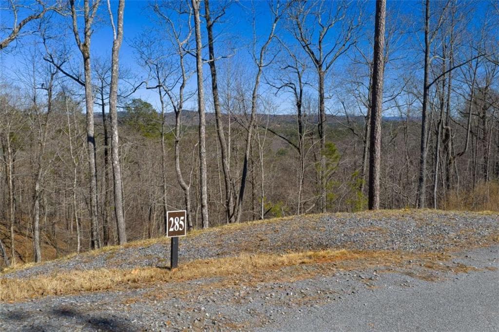 single family residence for sale at LT 285 Anglers Ridge Road, Talking Rock, GA 30175 — photo 4