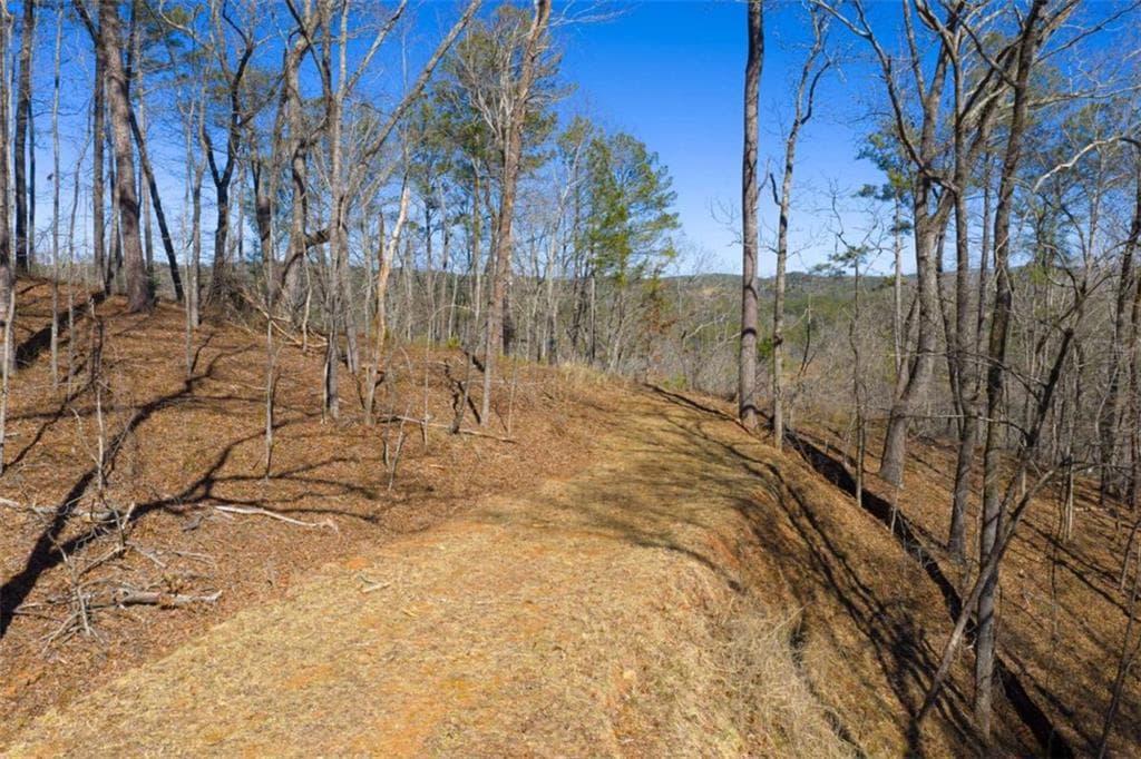 single family residence for sale at LT 285 Anglers Ridge Road, Talking Rock, GA 30175 — photo 7