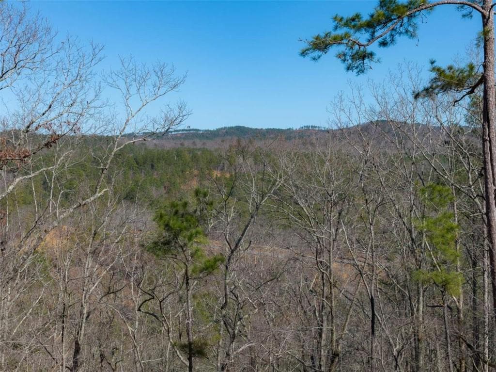 single family residence for sale at LT 285 Anglers Ridge Road, Talking Rock, GA 30175 — photo 8
