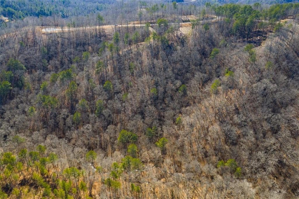 single family residence for sale at LT 285 Anglers Ridge Road, Talking Rock, GA 30175 — photo 9