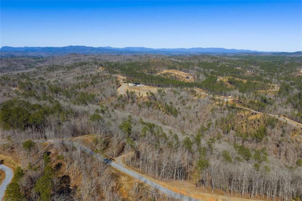 single family residence for sale at LT 285 Anglers Ridge Road, Talking Rock, GA 30175 — photo 10
