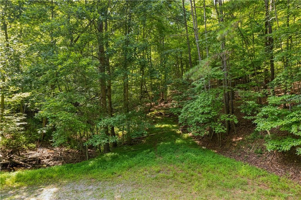 unimproved land for sale at 0 Noah Court, Ellijay, GA 30540 — photo 1 of 8