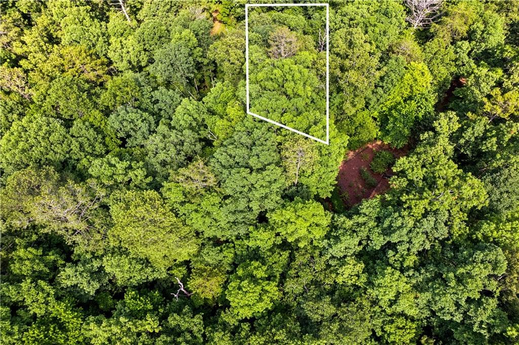 unimproved land for sale at 0 Noah Court, Ellijay, GA 30540 — photo 3