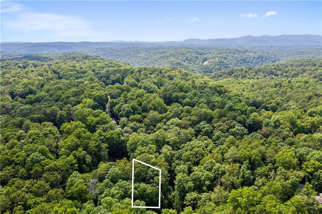 unimproved land for sale at 0 Noah Court, Ellijay, GA 30540 — photo 4