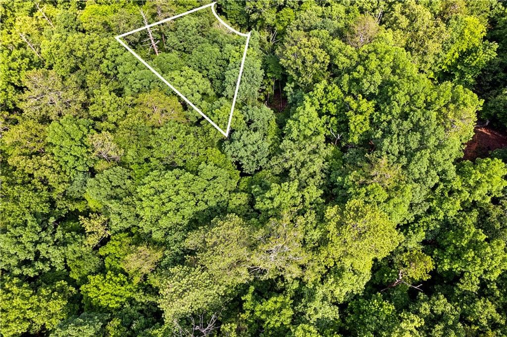 unimproved land for sale at 0 Noah Court, Ellijay, GA 30540 — photo 5