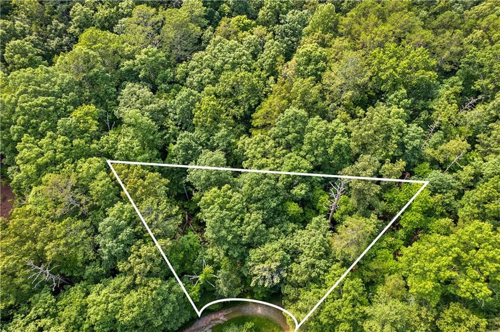 unimproved land for sale at 0 Noah Court, Ellijay, GA 30540 — photo 6