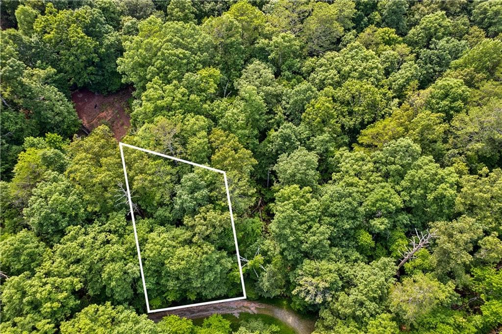 unimproved land for sale at 0 Noah Court, Ellijay, GA 30540 — photo 7