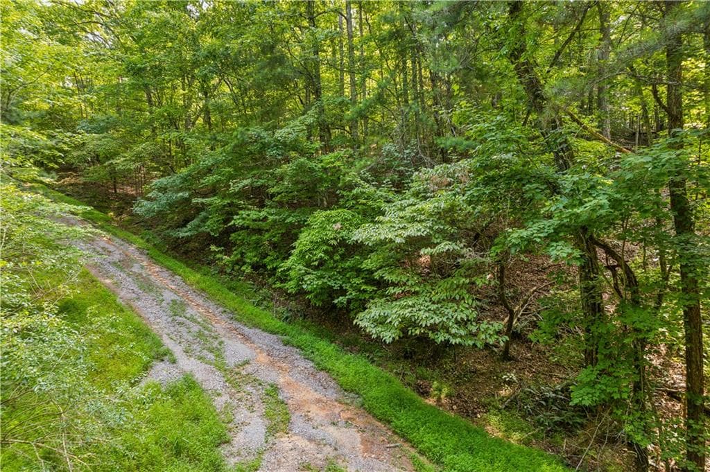 unimproved land for sale at 0 Noah Court, Ellijay, GA 30540 — photo 8