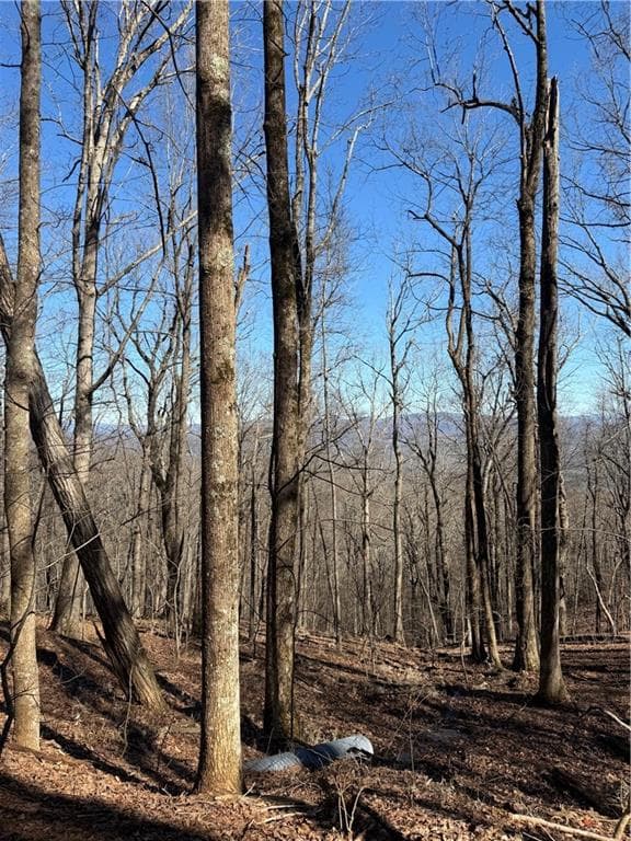 240 N Sanderlin Mtn Drive, Jasper, GA 30143 — most recent listing photo