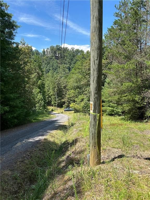 other for sale at 436 Meadow Lane, Talking Rock, GA 30175 — photo 5