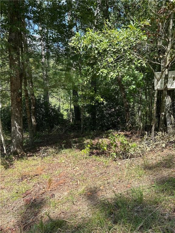 other for sale at 436 Meadow Lane, Talking Rock, GA 30175 — photo 10