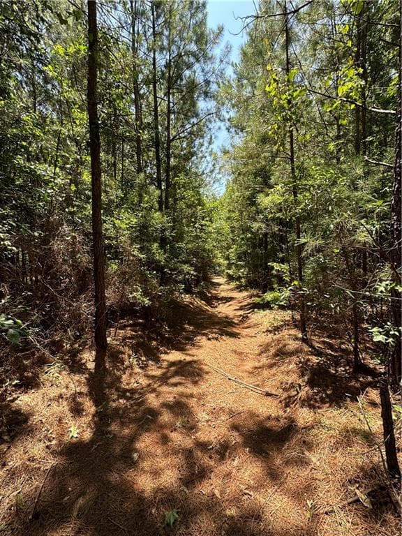 unimproved land for sale at 0000 Rocky Point Road, Covington, GA 30014 — photo 2