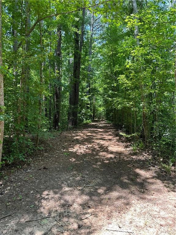 unimproved land for sale at 0000 Rocky Point Road, Covington, GA 30014 — photo 3