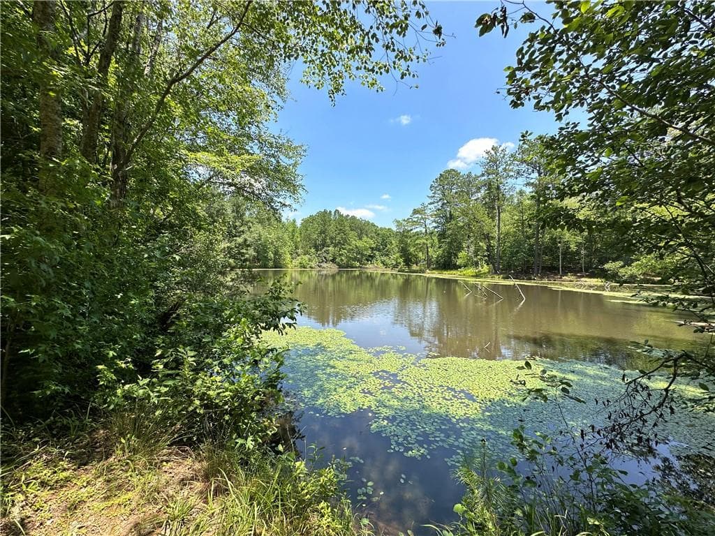 unimproved land for sale at 0000 Rocky Point Road, Covington, GA 30014 — photo 4