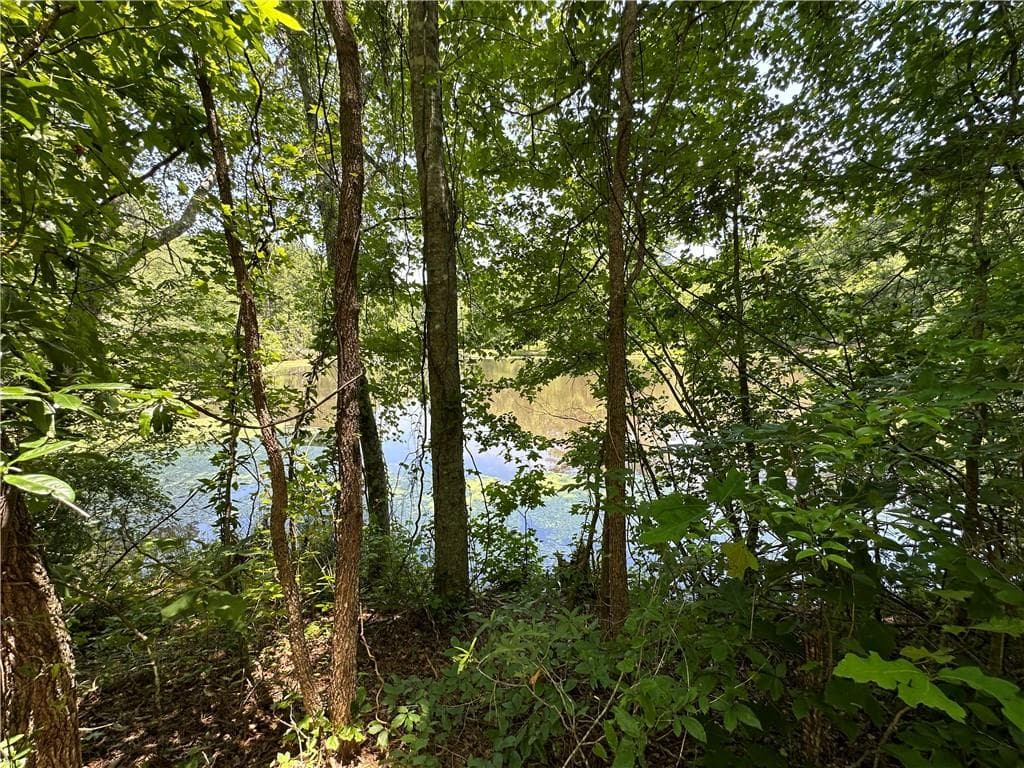 unimproved land for sale at 0000 Rocky Point Road, Covington, GA 30014 — photo 5