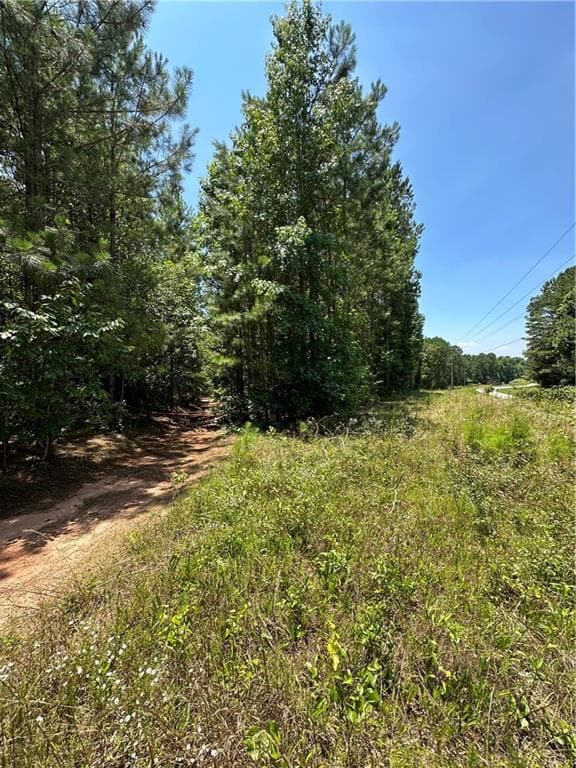 unimproved land for sale at 0000 Rocky Point Road, Covington, GA 30014 — photo 6