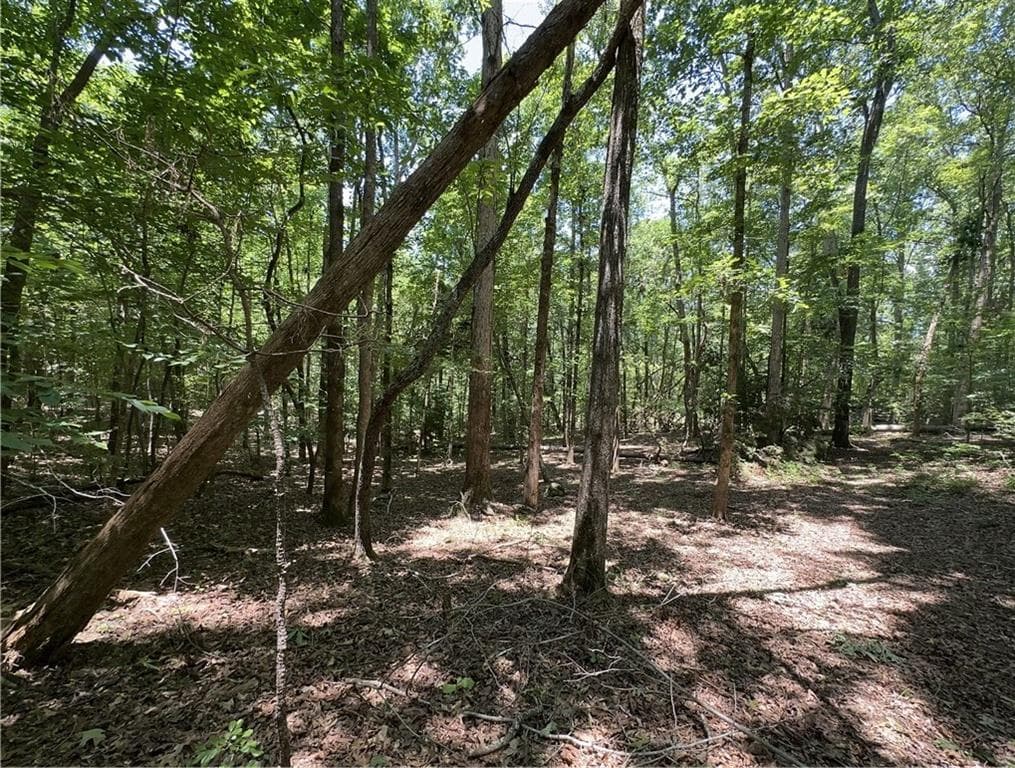 unimproved land for sale at 0000 Rocky Point Road, Covington, GA 30014 — photo 7