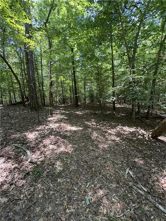 unimproved land for sale at 0000 Rocky Point Road, Covington, GA 30014 — photo 8