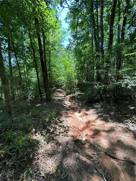unimproved land for sale at 0000 Rocky Point Road, Covington, GA 30014 — photo 9