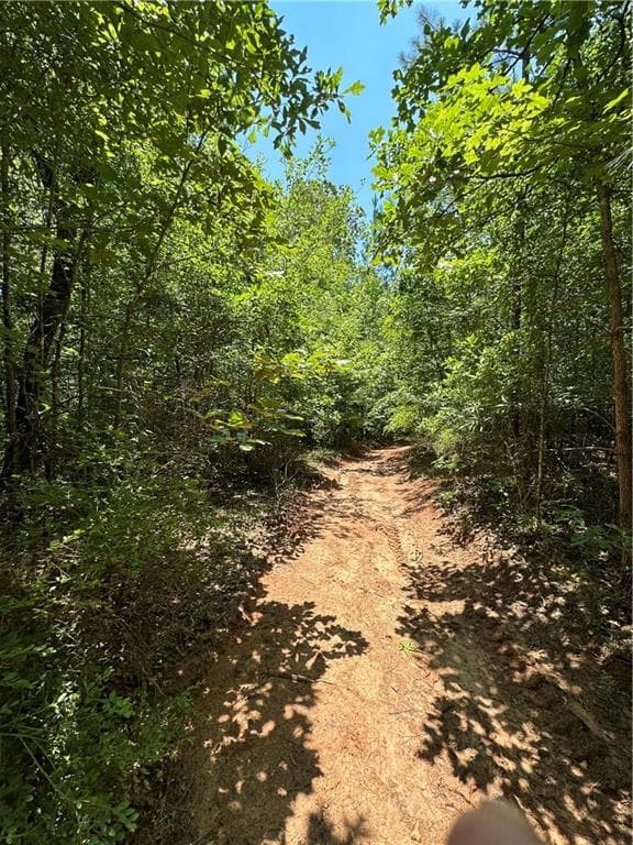 unimproved land for sale at 0000 Rocky Point Road, Covington, GA 30014 — photo 10