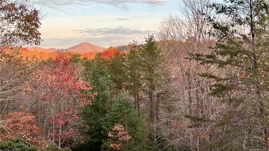 4 bedroom, 4 bathroom, 3,604 sq ft single family residence for sale at 1036 Wards Creek Drive, Dahlonega, GA 30533 — photo 2