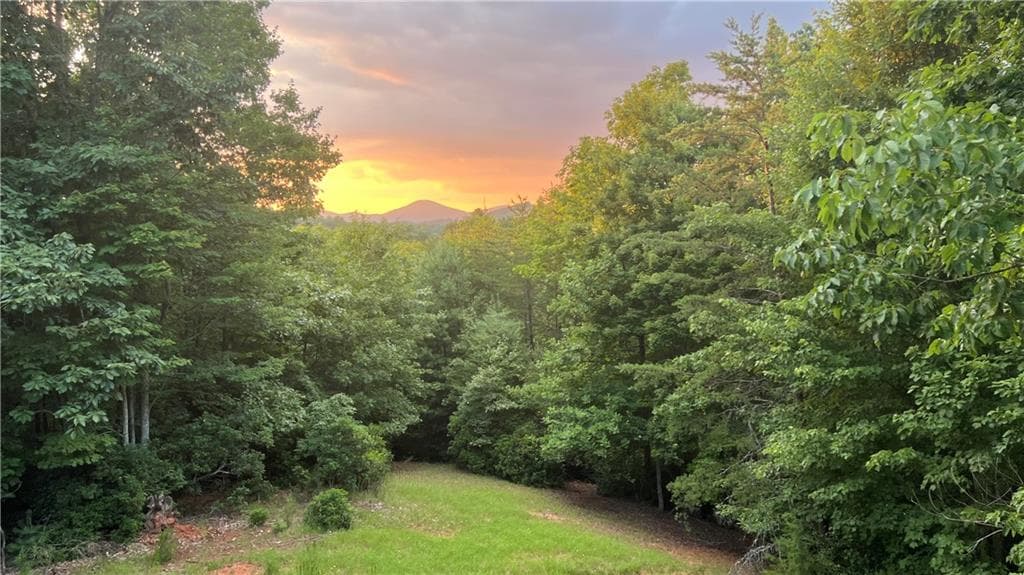 4 bedroom, 4 bathroom, 3,604 sq ft single family residence for sale at 1036 Wards Creek Drive, Dahlonega, GA 30533 — photo 3