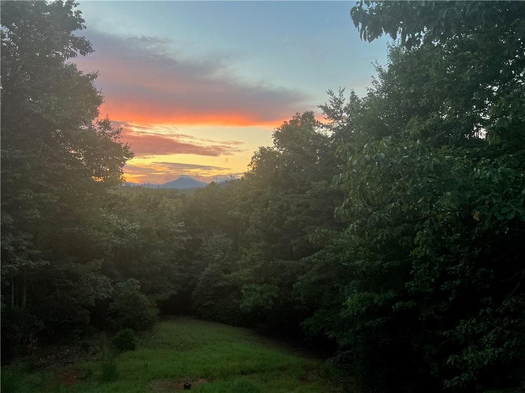 4 bedroom, 4 bathroom, 3,604 sq ft single family residence for sale at 1036 Wards Creek Drive, Dahlonega, GA 30533 — photo 4