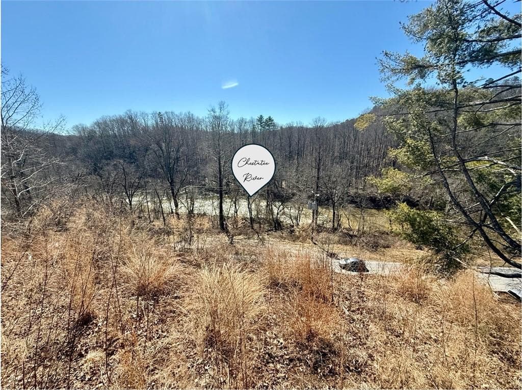 unimproved land for sale at 5195 South Chestatee Street, Dahlonega, GA 30533 — photo 10