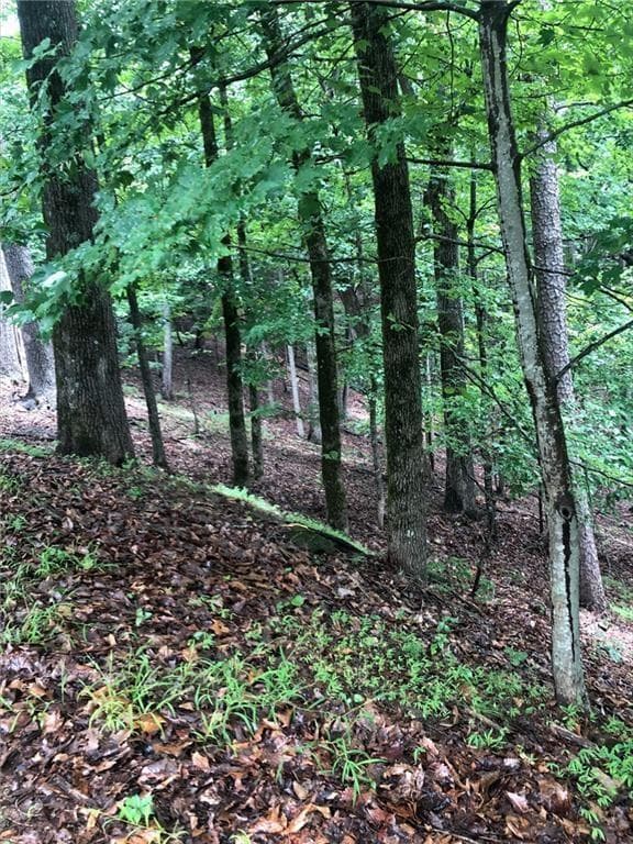 unimproved land for sale at 6055 Crested Iris Circle, Jasper, GA 30143 — photo 1 of 3