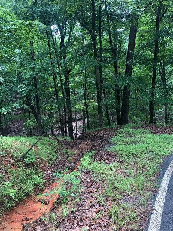 unimproved land for sale at 6055 Crested Iris Circle, Jasper, GA 30143 — photo 2