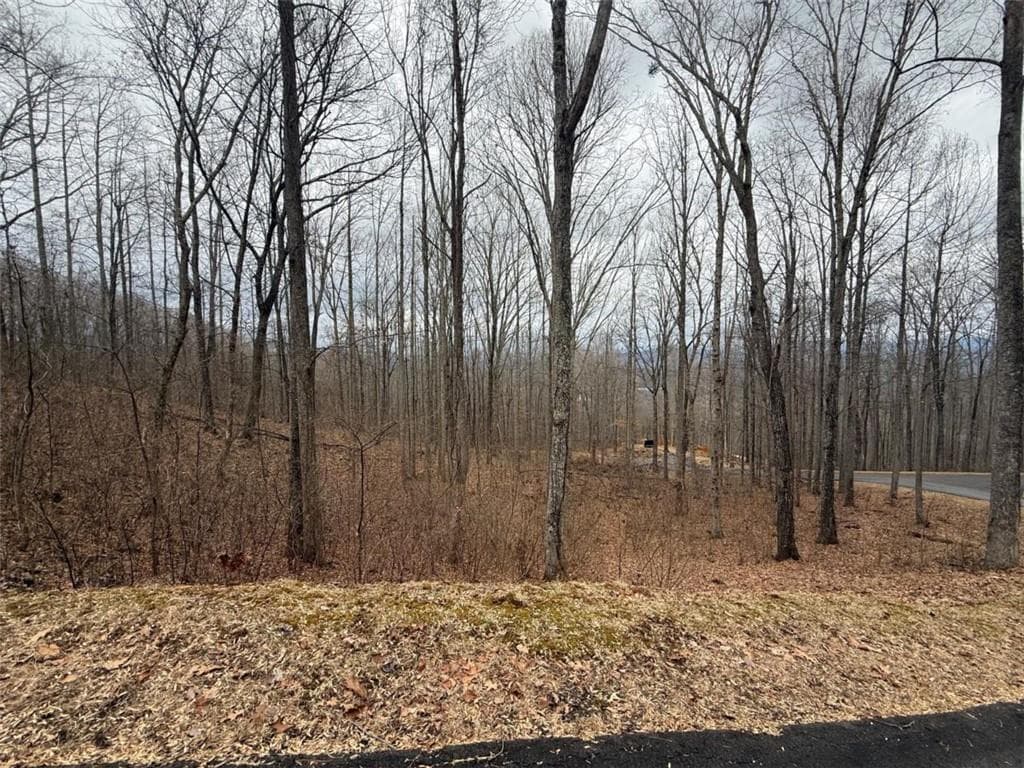 single family residence under contract at LOT 7 Rocky Knob Drive, Young Harris, GA 30582 — photo 2
