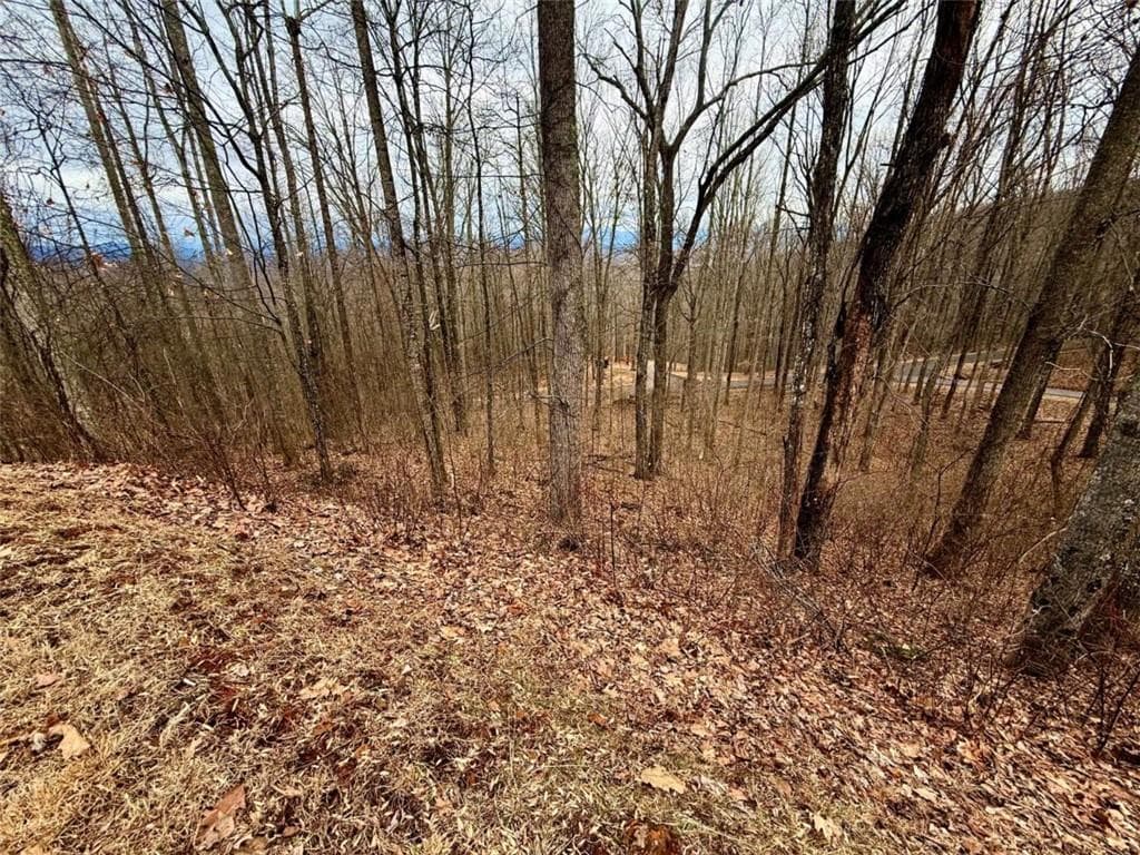 single family residence under contract at LOT 7 Rocky Knob Drive, Young Harris, GA 30582 — photo 4