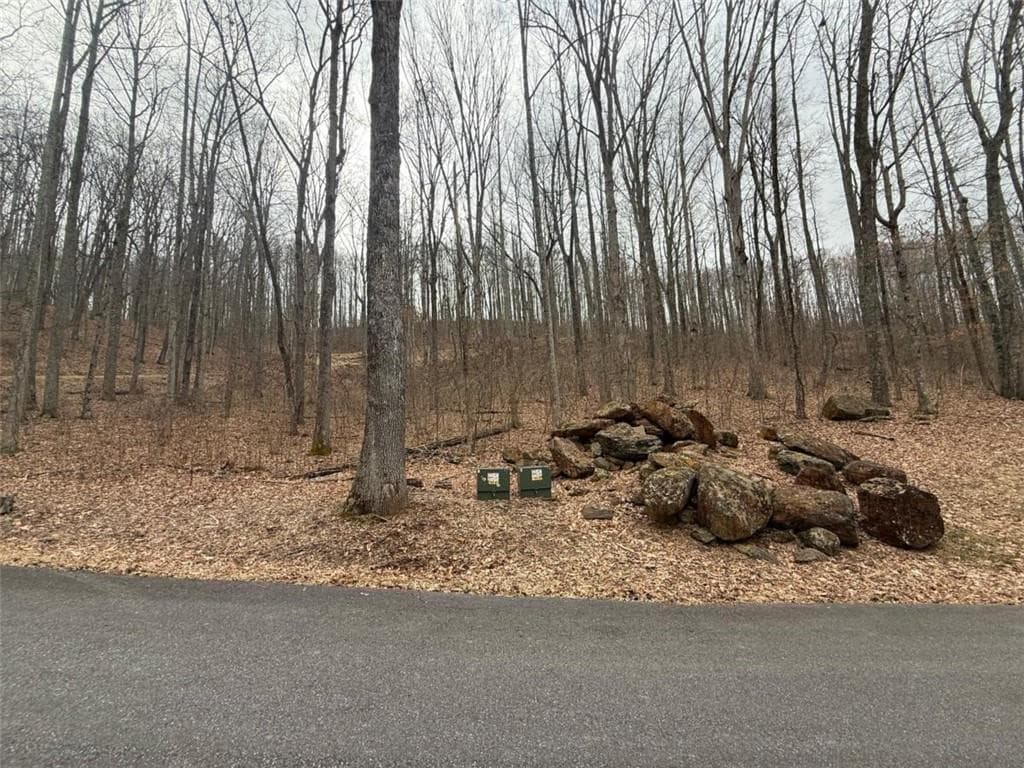 single family residence under contract at LOT 7 Rocky Knob Drive, Young Harris, GA 30582 — photo 5