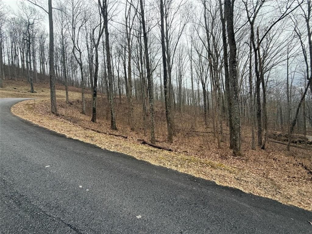 single family residence under contract at LOT 7 Rocky Knob Drive, Young Harris, GA 30582 — photo 8