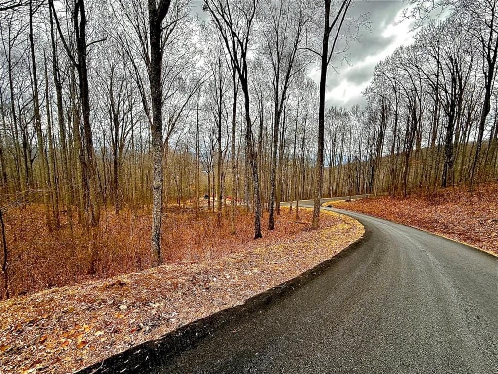single family residence under contract at LOT 7 Rocky Knob Drive, Young Harris, GA 30582 — photo 9