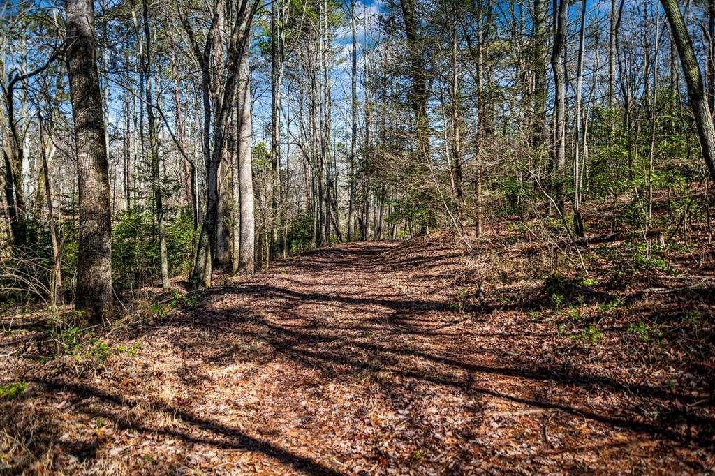 single family residence for sale at Trct C Captains Cove, Blairsville, GA 30512 — photo 3