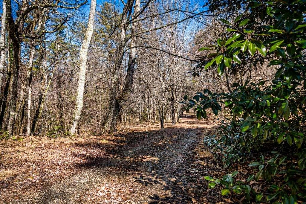 single family residence for sale at Trct C Captains Cove, Blairsville, GA 30512 — photo 4