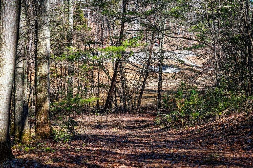 single family residence for sale at Trct C Captains Cove, Blairsville, GA 30512 — photo 9