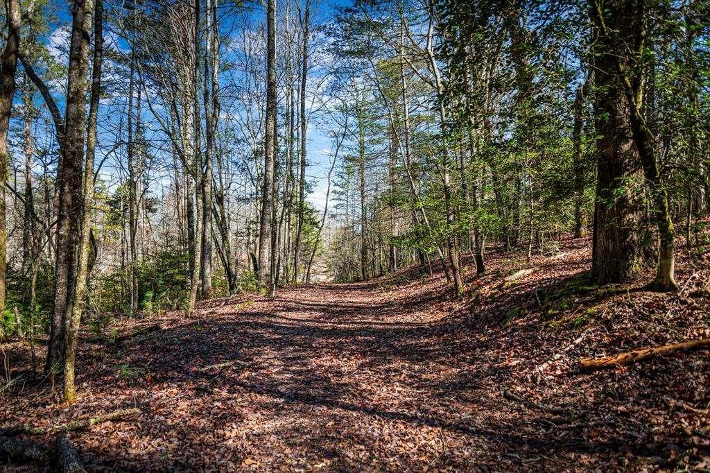 single family residence for sale at Trct C Captains Cove, Blairsville, GA 30512 — photo 10
