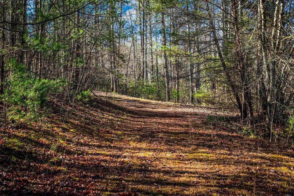 single family residence for sale at TRCT B Captains Cove, Blairsville, GA 30512 — photo 7