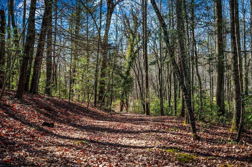 single family residence for sale at TRCT B Captains Cove, Blairsville, GA 30512 — photo 8