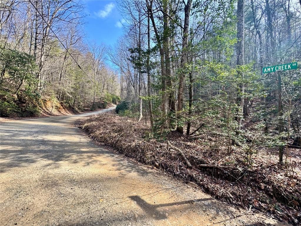 unimproved land for sale at L53 Amy Creek Circle, Ellijay, GA 30540 — photo 1 of 8