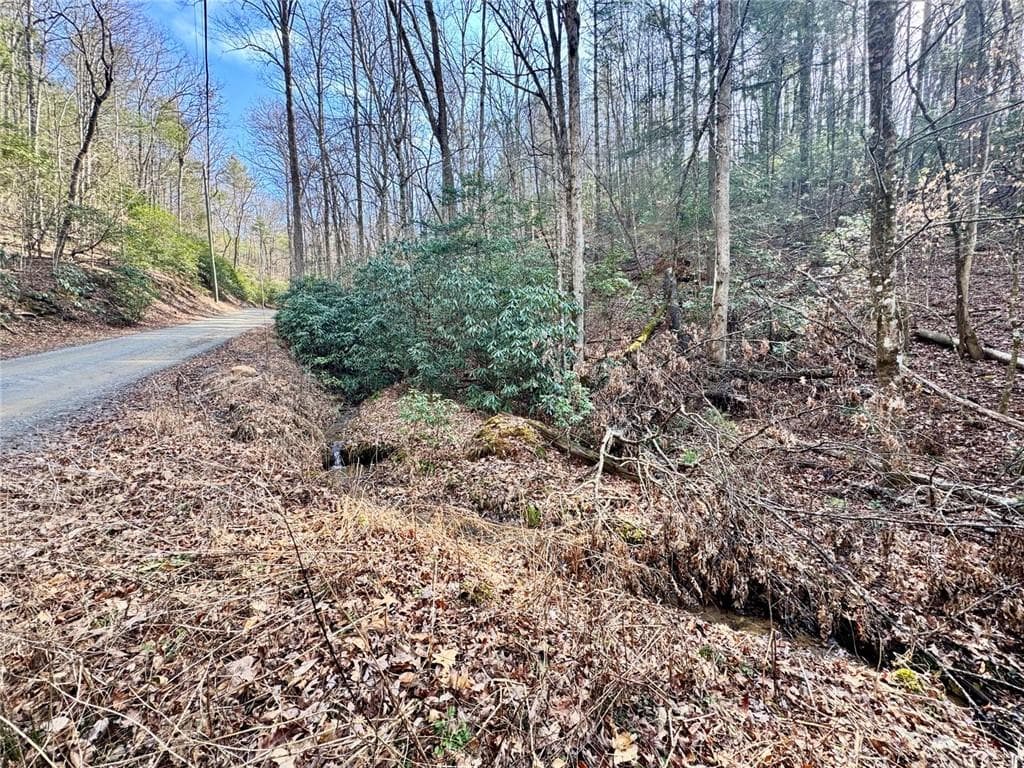 unimproved land for sale at L53 Amy Creek Circle, Ellijay, GA 30540 — photo 2